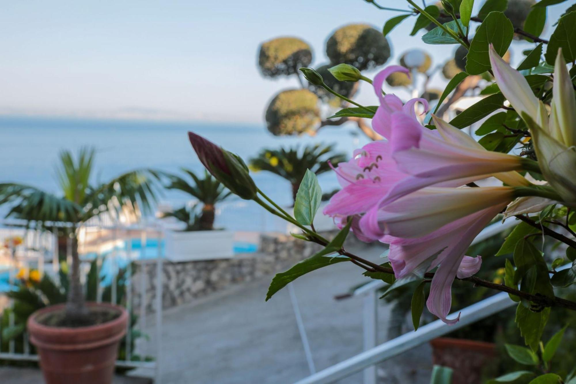 Hotel Villa Lubrense Sorrento Massa Lubrense Exteriér fotografie